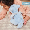 Zephie Dragon | 10 in
