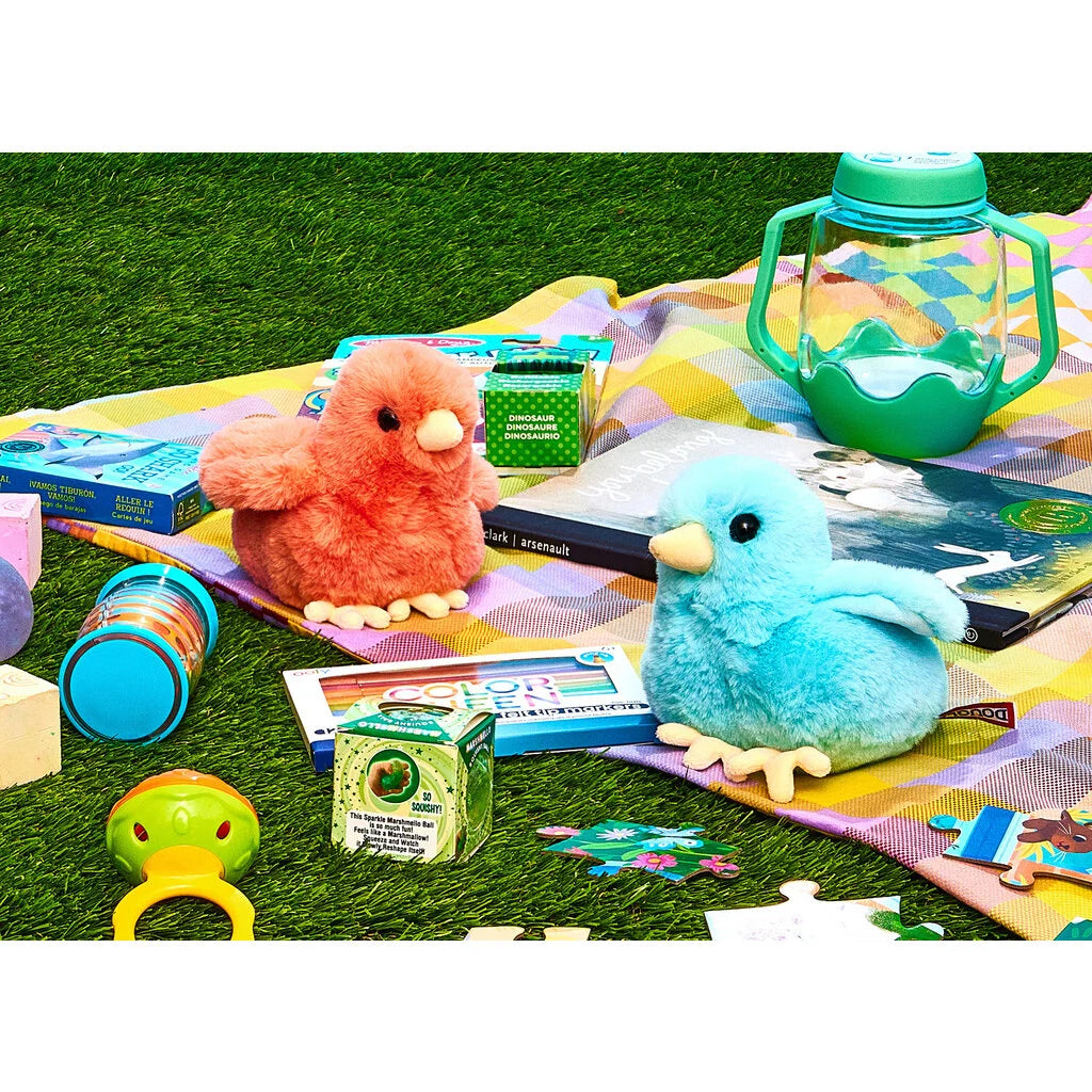 Colorful Chicks Assortment