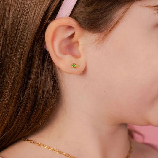Kids Earring: Turtles