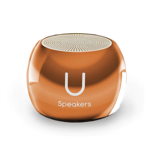 U Speakers |  Boost Mirror: Rose Gold