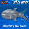 Crazy Shark | RC