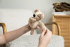 Hug Baby | Charlie the Puppy