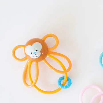 Zoo Winkel | Monkey
