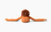 Hugarounds | Ollie the Orangutan