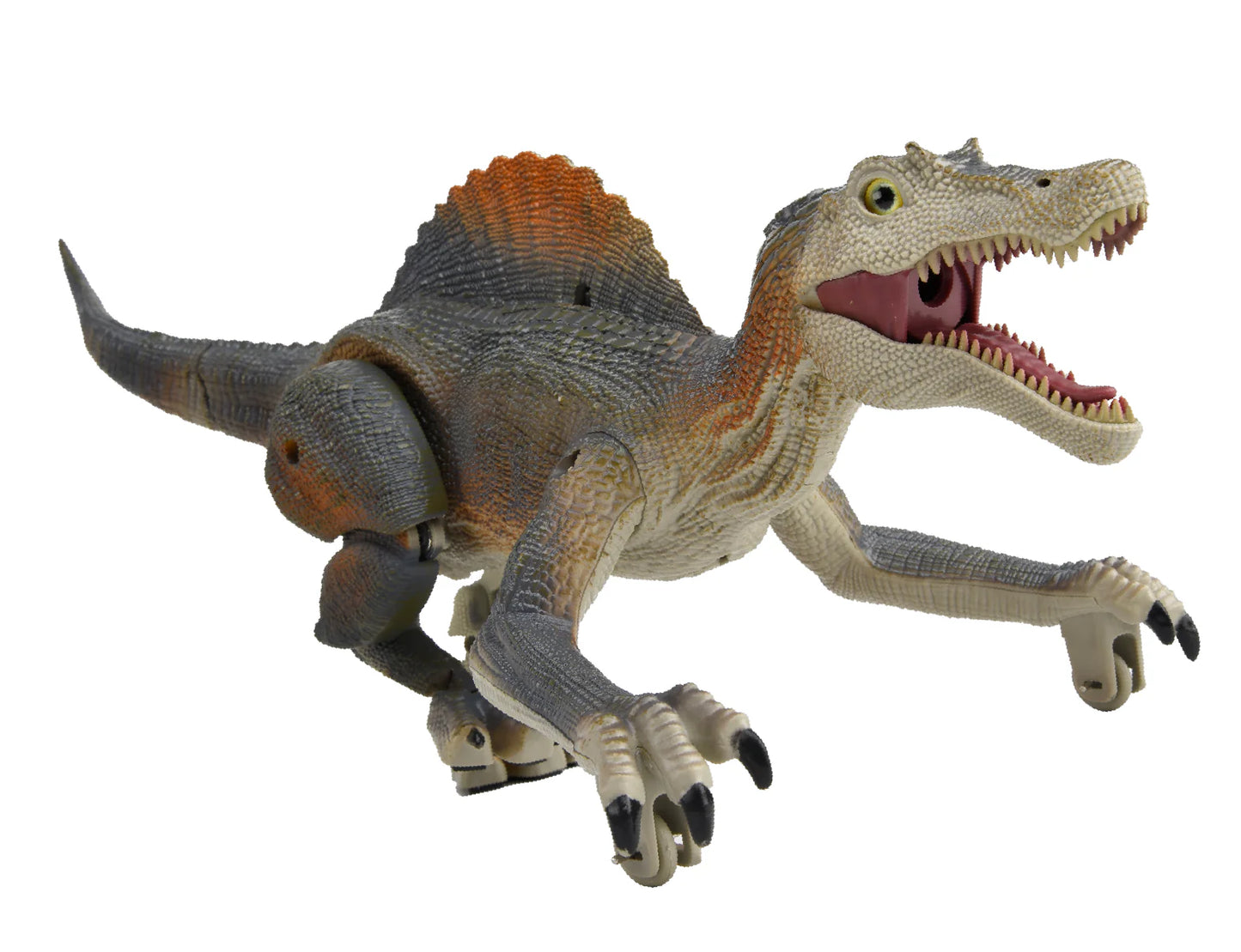 Spinosaurus Comes to Life |  RC